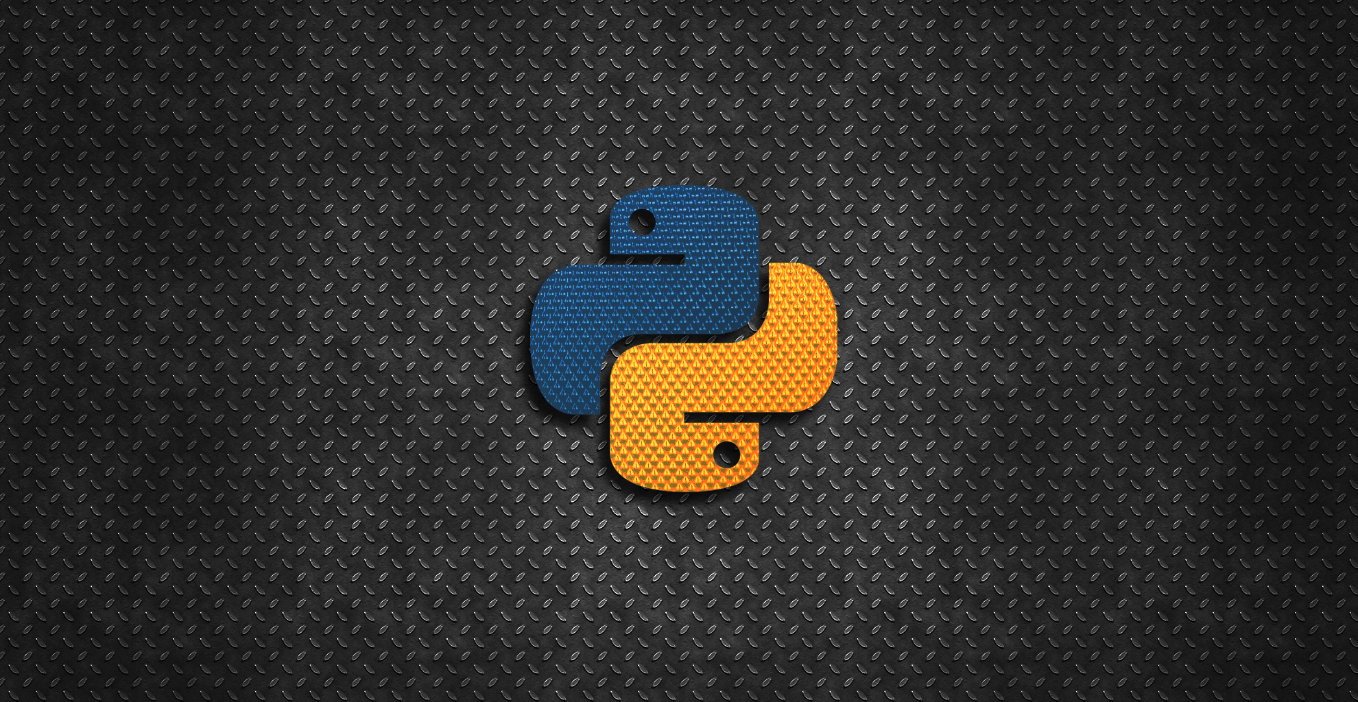 Python Programming for Beginners